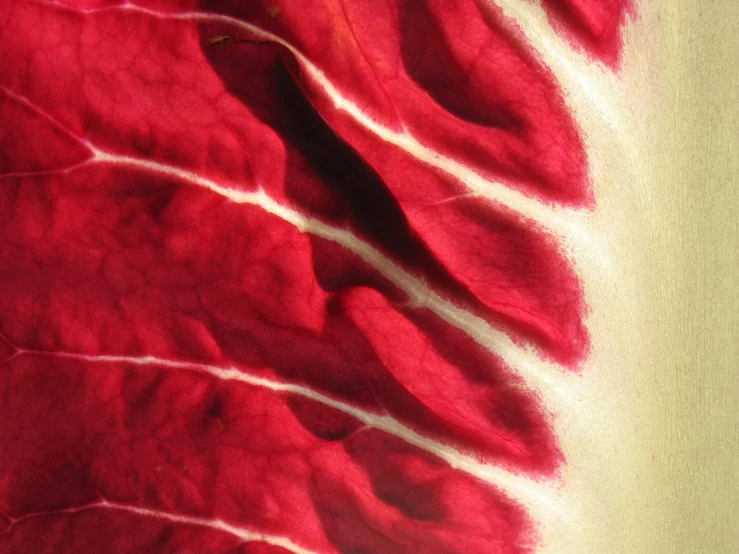 the texture of a cloth is red with white streaks