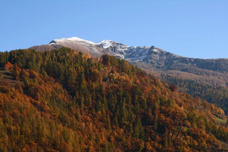 a snowy mountain surrounded by colorful trees with white top