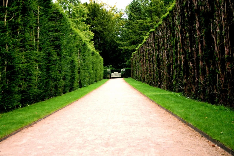 a park with many trees surrounding a paved path