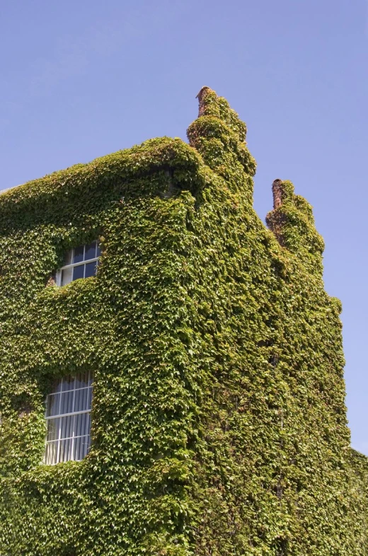 an ivy covered building stands on the edge of the road