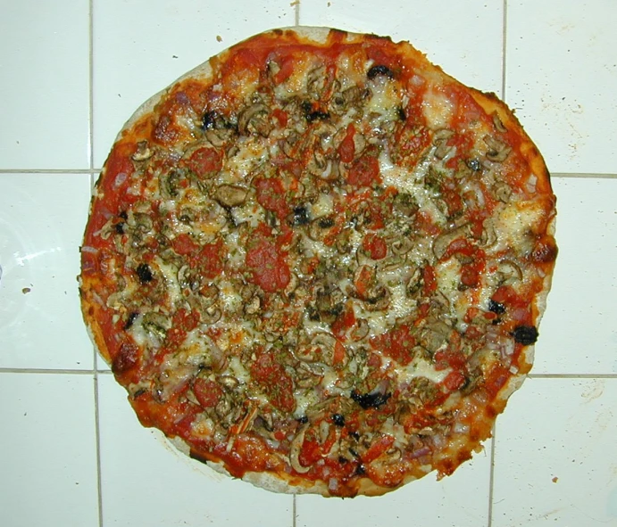 a cooked pizza sitting on a tile floor