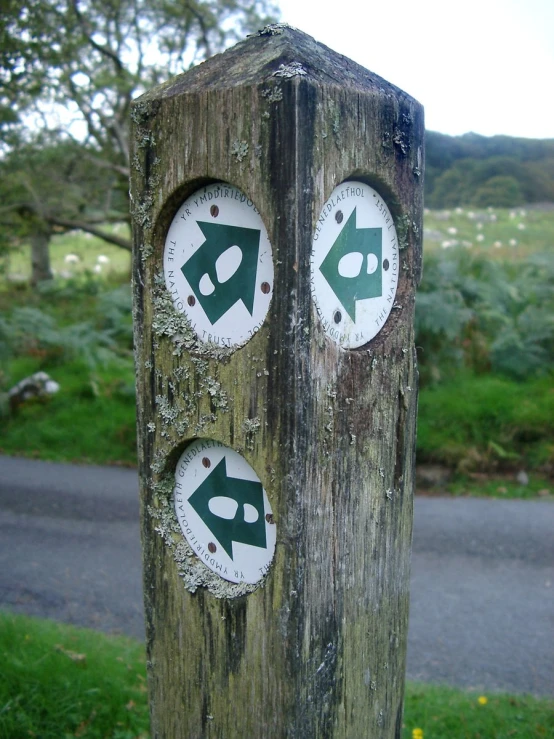 a wooden post has two green arrows and no where to place signs on