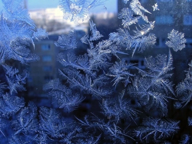 the frosting is on the window glass by the building