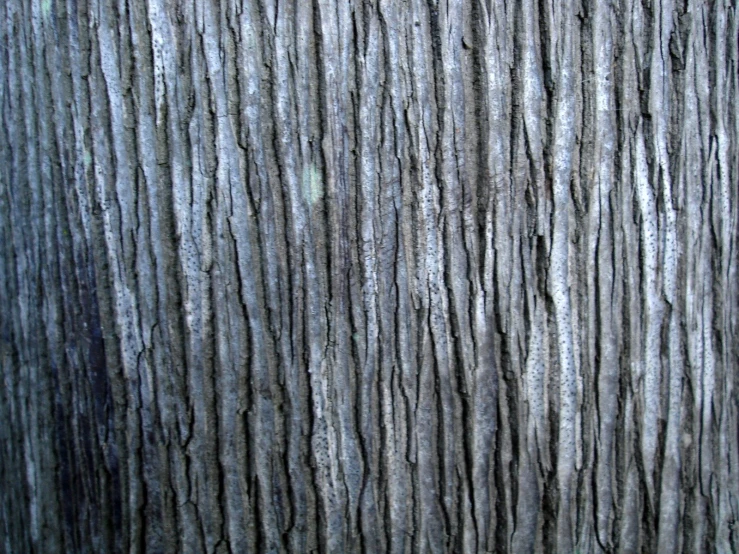 a wood paneled with horizontal lines of varying shapes