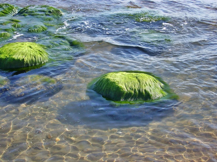 there are some green rocks in the water