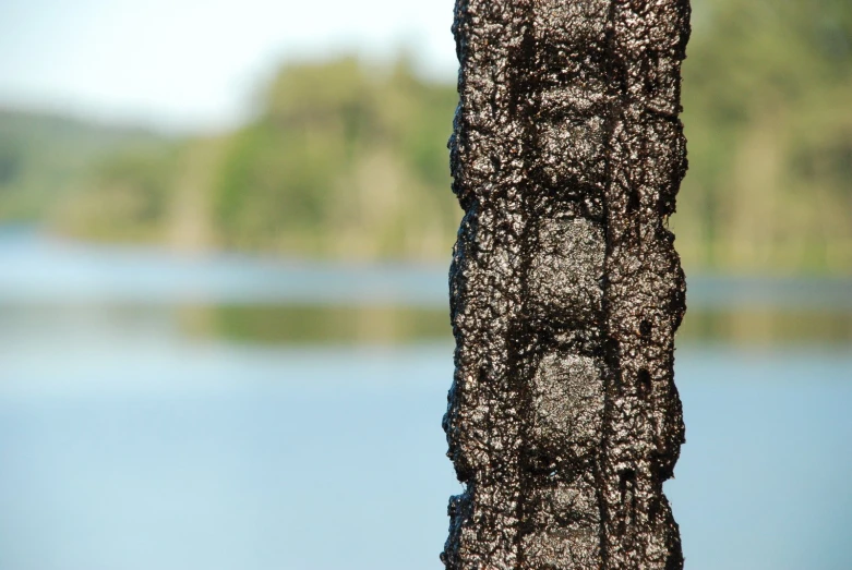 a nch is visible next to a body of water