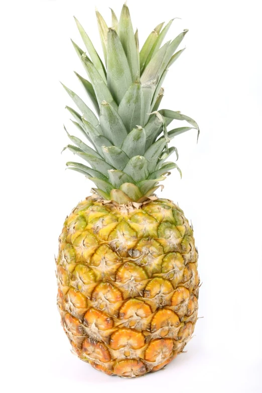 a large pineapple is sitting still on a white background