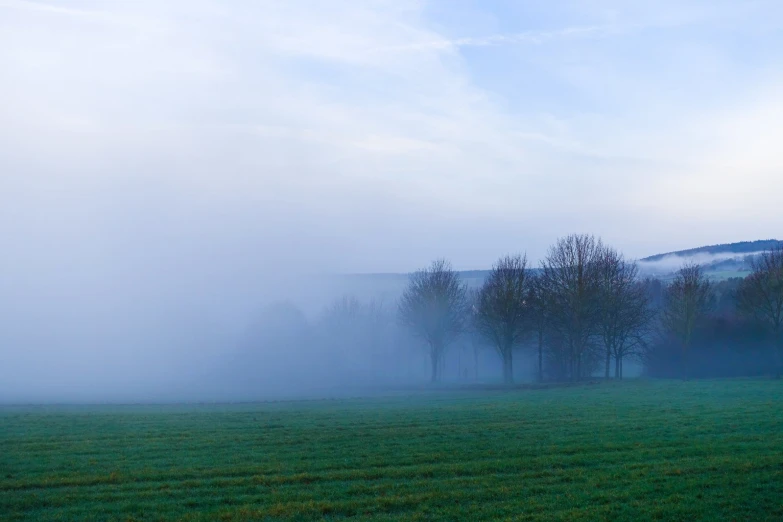 there are fog hanging over a grassy field