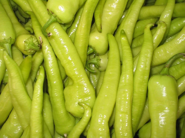 fresh green beans with sprouts sitting on top of them