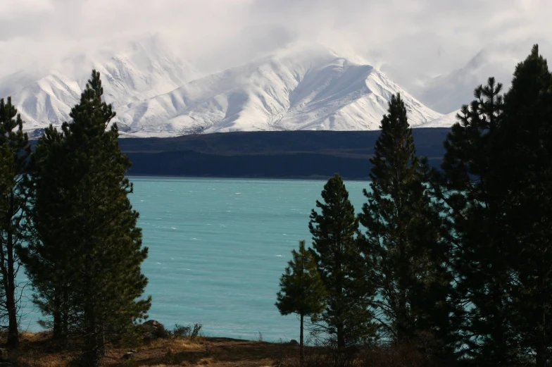 a mountain is seen near some pine trees