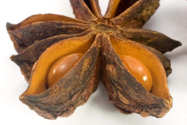 a couple of small brown bananas sitting on top of a white table