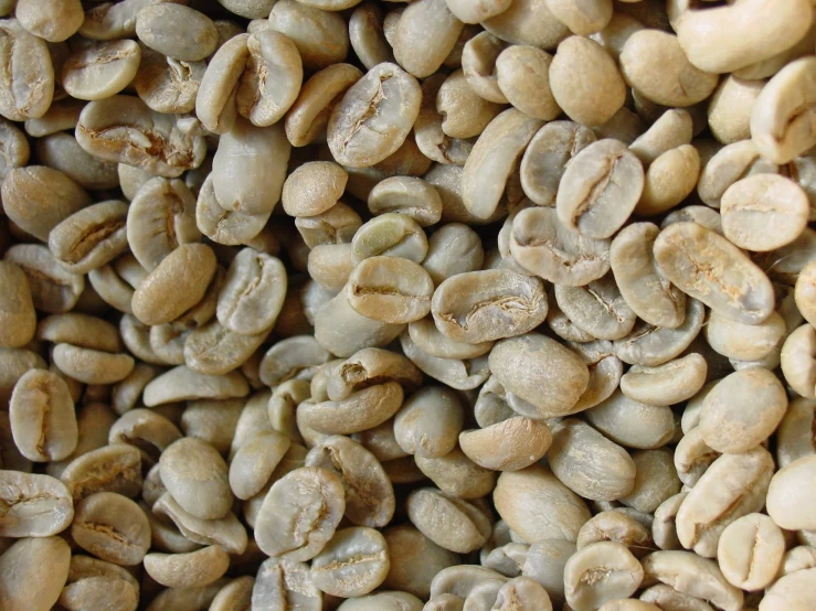 a large amount of coffee beans sitting in a pile
