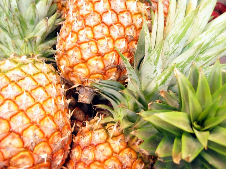 close up of sliced pineapples at market stall