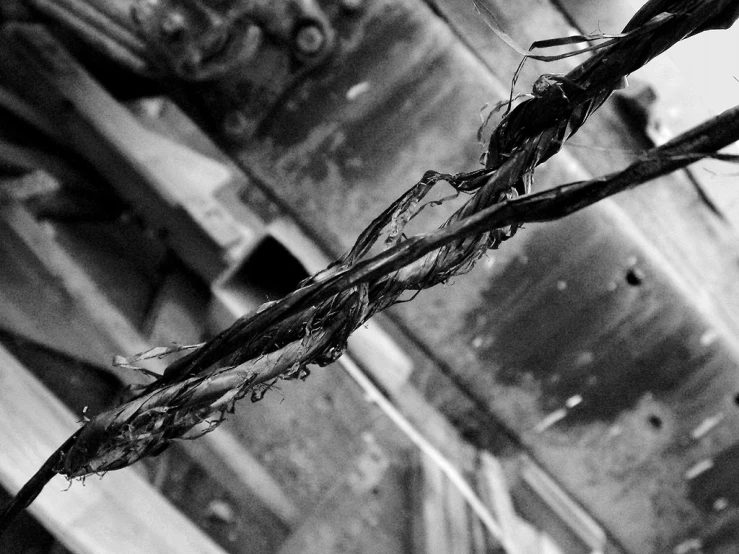 a black and white image of dried grass against a wooden wall