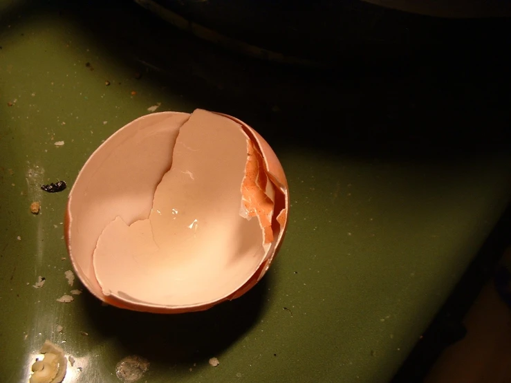 broken egg shell sitting on a green surface