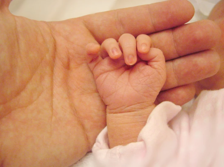 a hand holds the tiny baby's feet and is holding the other end