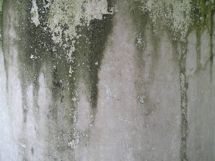 a close up view of a cement structure that appears to be painted with moss