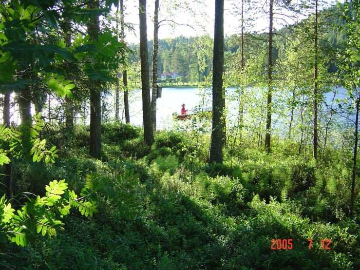 the water is near a wooded area by the trees