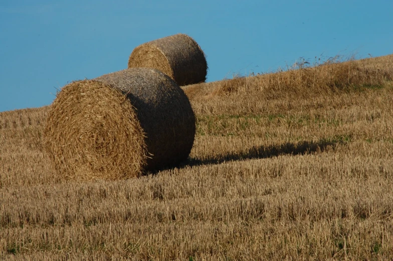 two hay bales laying on the top of a hill