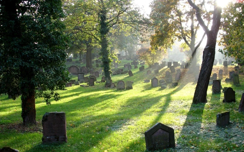 a green cemetery with tombstones and trees