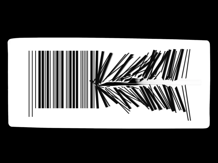 bar code that looks like palm leaves