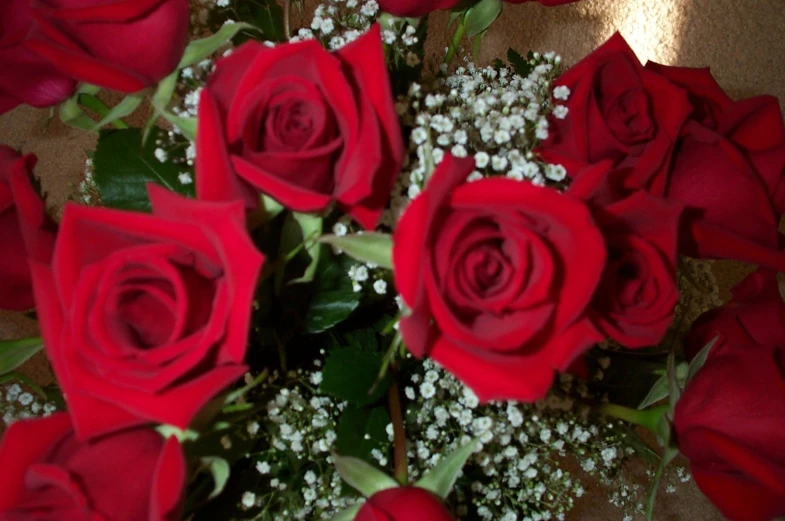 red roses and baby's breath and some baby's breath