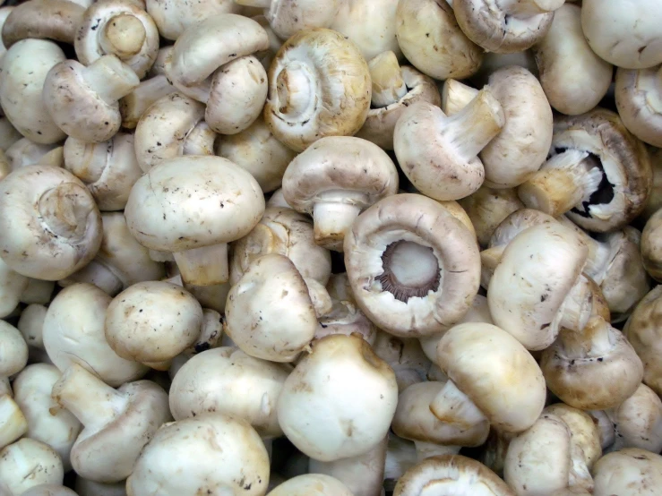 the small white mushrooms have brown tops