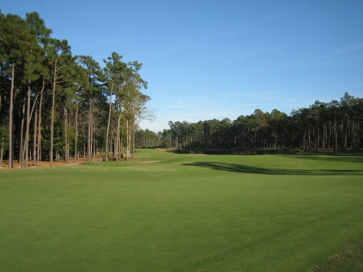 a golf field and some tall trees with some clouds in the sky