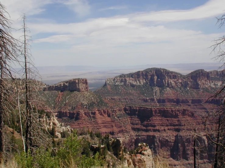 there is a landscape with a cliff and large trees