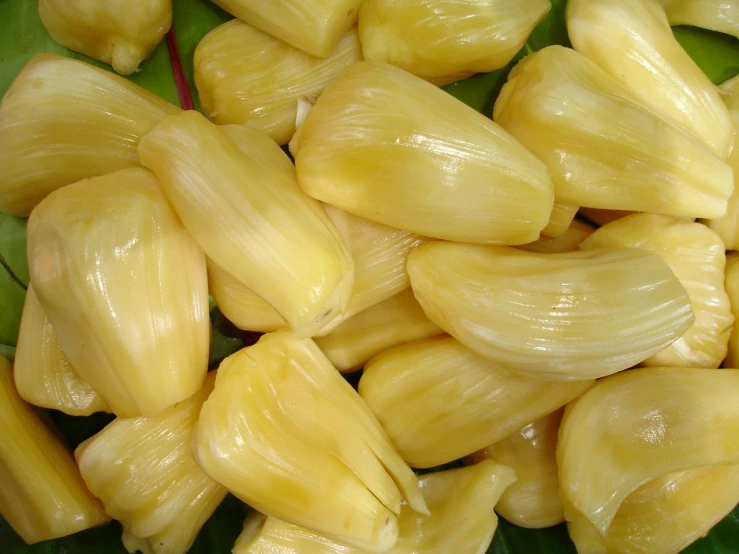 a pile of yellow flowers is shown on a plate