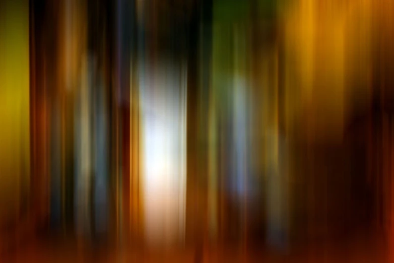 blurry pograph of several trees in autumn