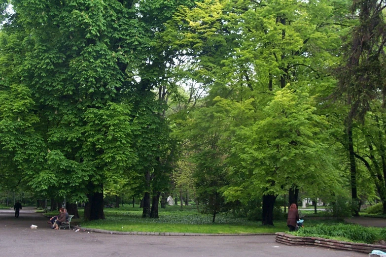 many people are walking on the sidewalk in front of the trees