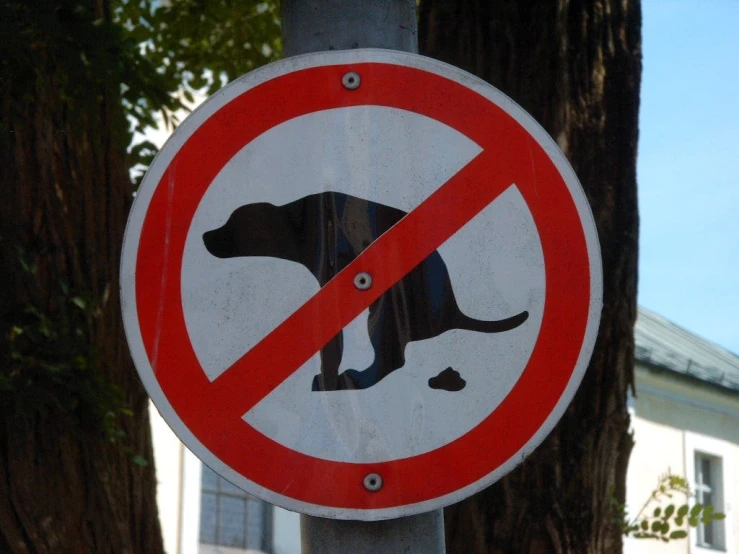 a no animals allowed sign is pictured in a neighborhood