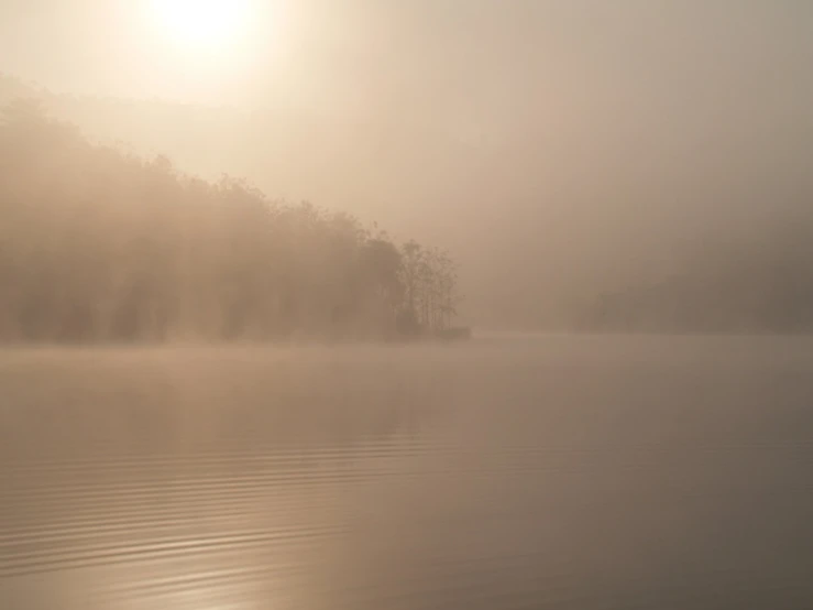 foggy day on a river and small island in the distance