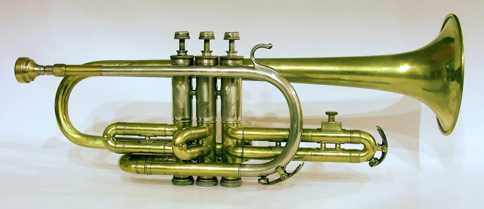 the trumpet is a golden color, with two ss valves