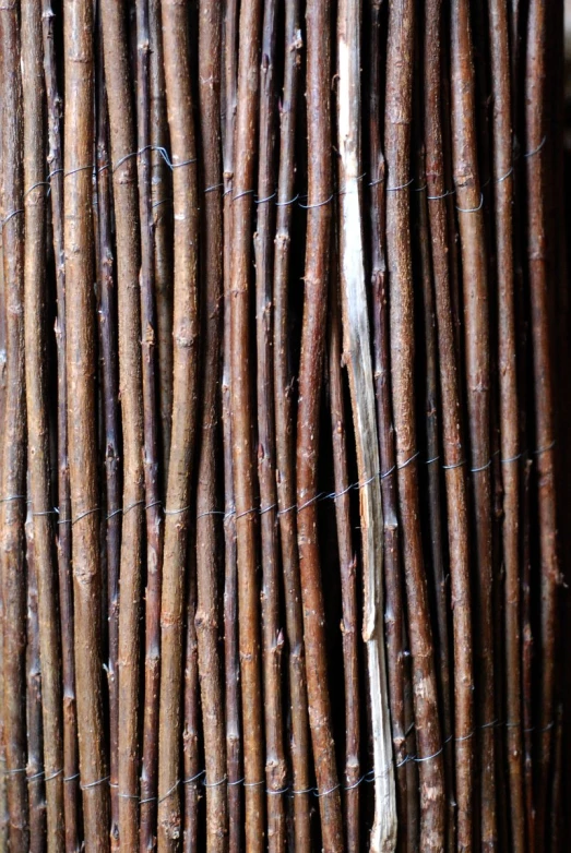 closeup of wood sticks attached to a fence