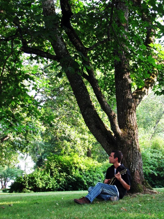 man sitting under tree with camera in hand