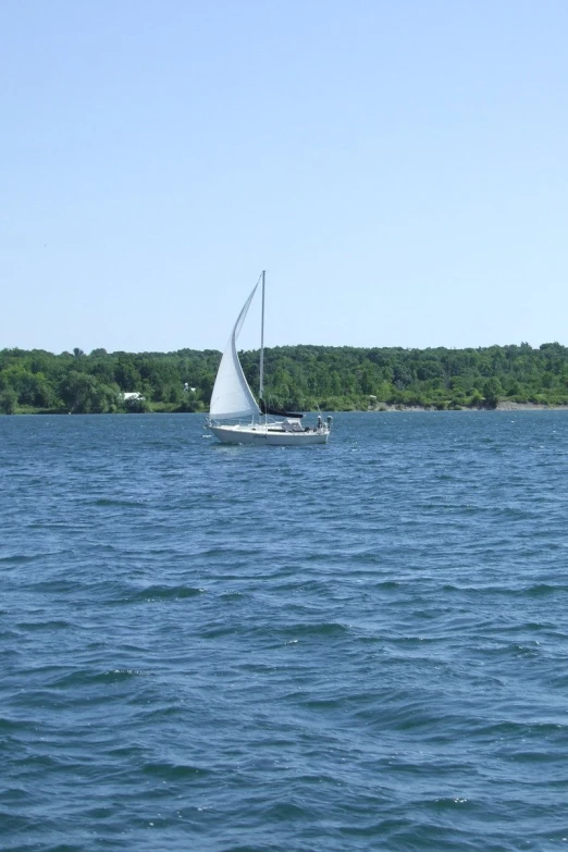 sailboat in the middle of a lake with a forested shore