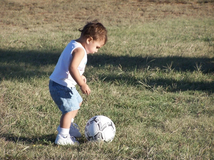 a  is in the grass about to kick a soccer ball