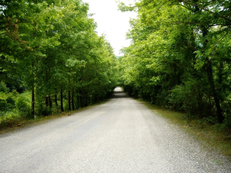 an empty road surrounded by trees and grass