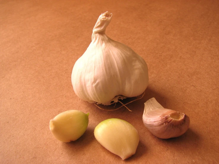 garlic, and a bulb of garlic on a table