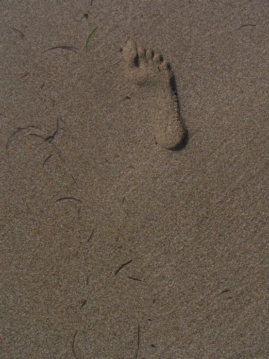 footprints of people walking in the sand