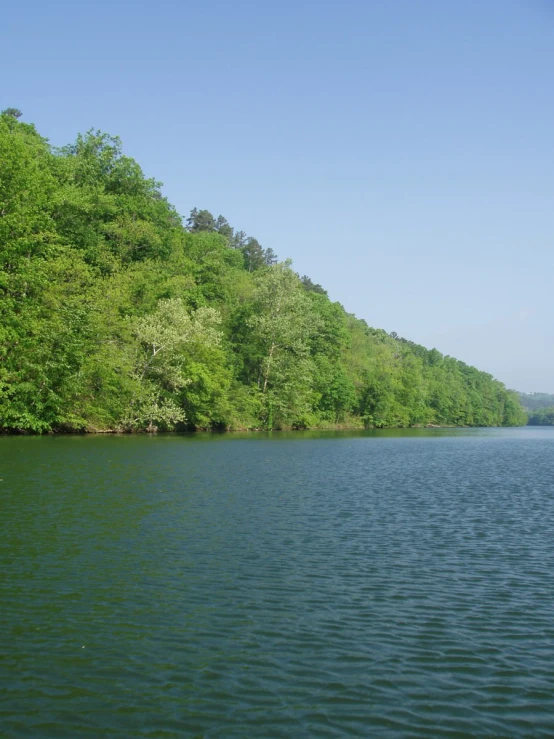 some people paddle boats and can be seen in the water