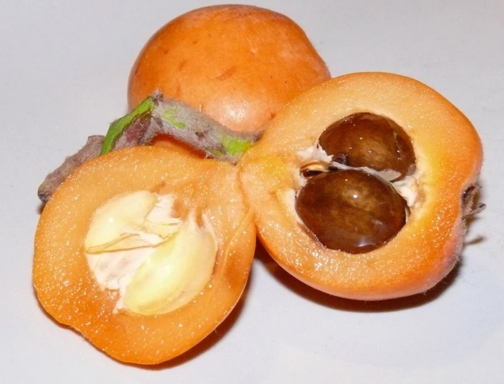 closeup of two sweet peachs with leaves and one cut open