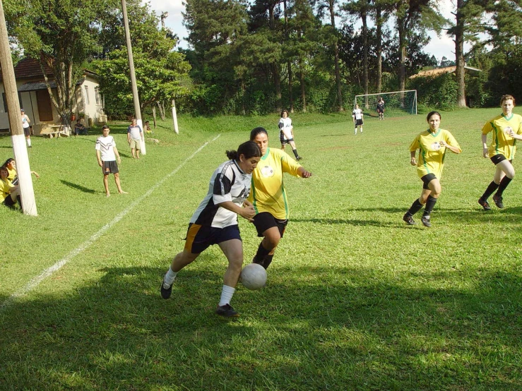 some s play soccer on a grass field