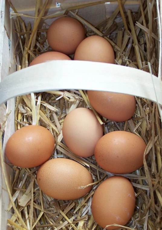 brown eggs sitting inside of a white container