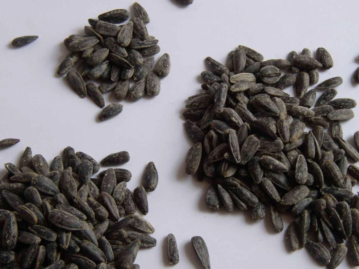 a pile of sunflower seeds on a table