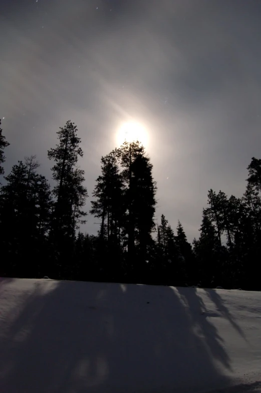 a snowboarder traveling through the snowy wilderness at night