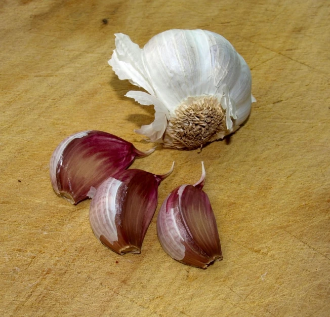 a large bulb of garlic being peeled in half