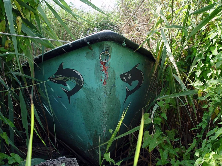 the painted front end of a green boat sits in the middle of tall grass